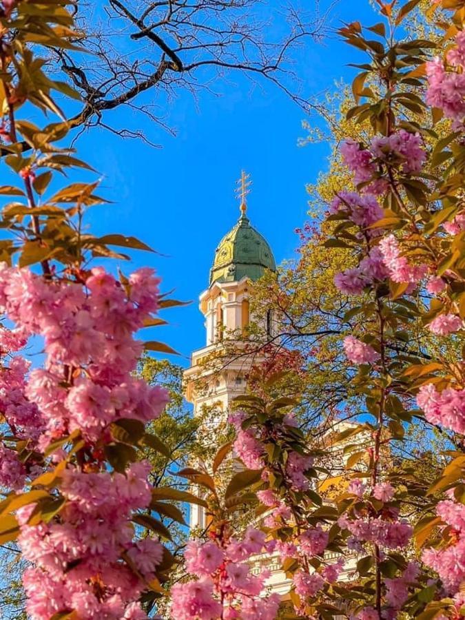 Старовинні Апартаменти У Центрі Міста Oujhorod Extérieur photo